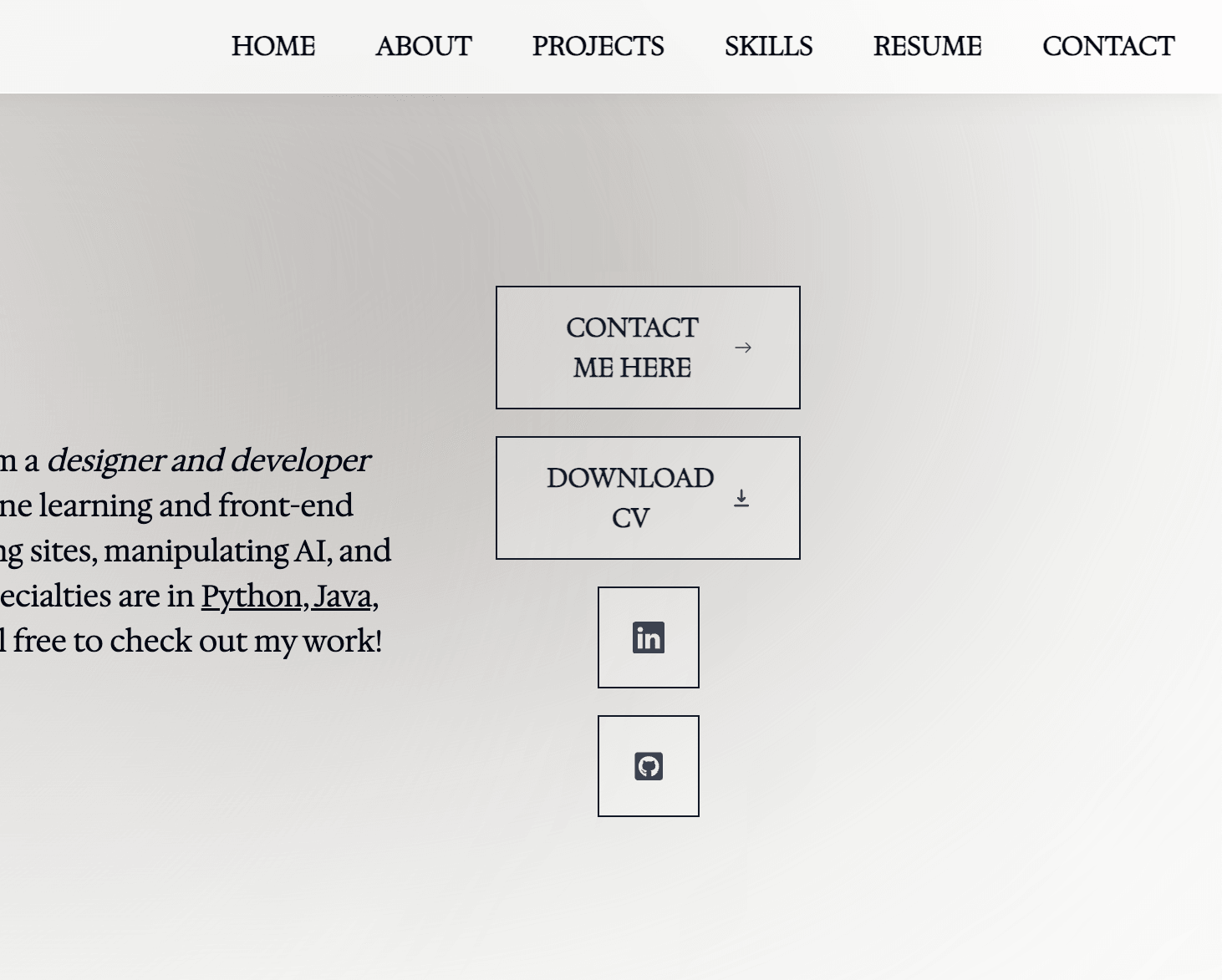 Developer Portfolio